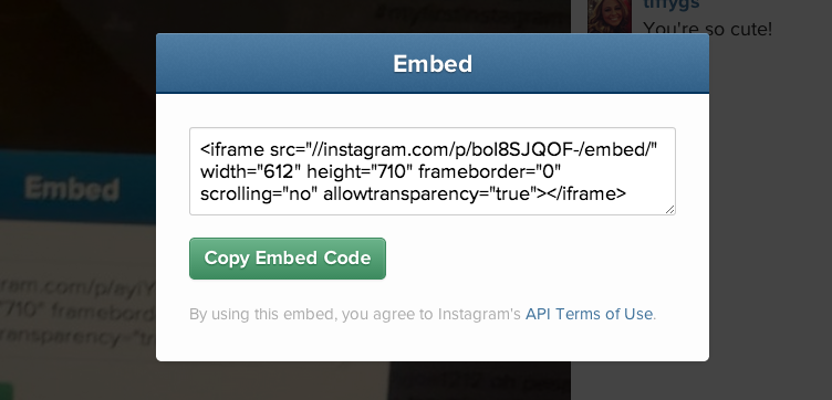 How to Embed an Instagram Video or Photo