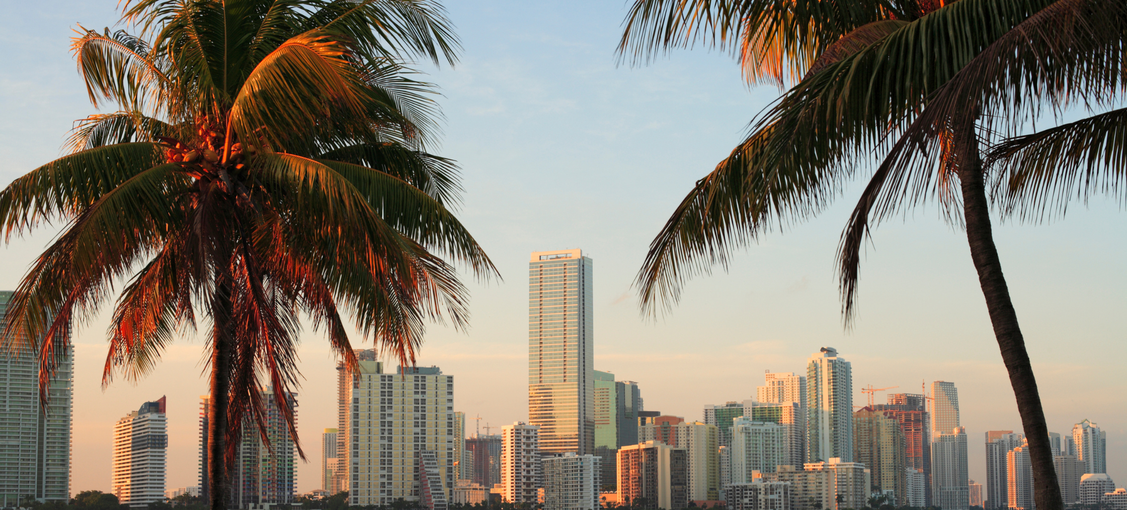 Visual Content Strategies for Businesses in Miami